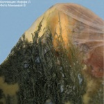 Агат моховой