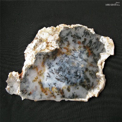 Агат дендровидный