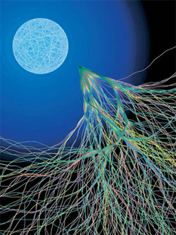 Разницу между квантовой и классической физикой наглядно иллюстрируют квантовая (слева) и классическая (справа) модели хаоса