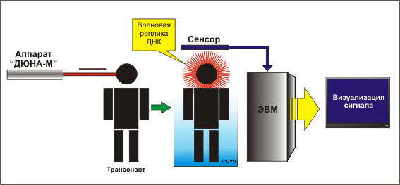 Схема эксперимента