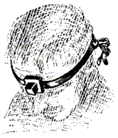 235а.gif (15414 bytes)