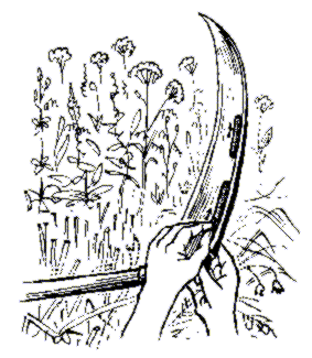 237б.gif (16762 bytes)