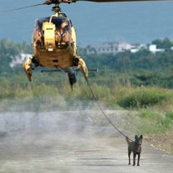 Нейроны зеркальные