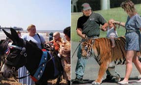 Мозговые волны излучения