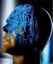 Изображение: www.sciam.ru