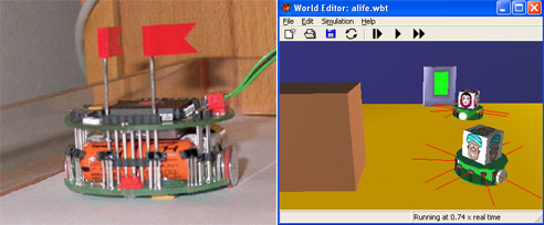 Робот «Хепера» используемый в экспериментах по моделированию адаптивной нервной системы (слева) и его «двойники», применяемые для моделирования поведения робота в виртуальной среде (справа). Фото: www.sciam.ru