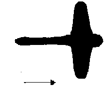 Модель летящей птицы.