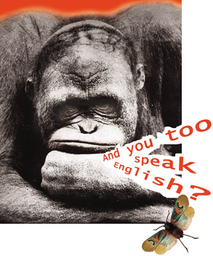 Курсы английского в Москве