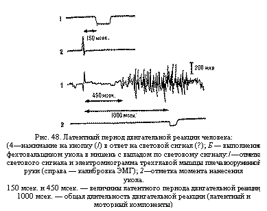 Подпись:  
Рис. 48. Латентный период двигательной реакции человека:
(4—нажимание на кнопку (/) в ответ на световой сигнал (?); Б — выполнение фехтовальщиком укола в мишень с выпадом по световому сигналу: / — отметка светового сигнала и электромиограмма трехглавой мышцы плеча вооруженной руки (справа — калибровка ЭМГ); 2—отметка момента нанесения
укола.
150 мсек. и 450 мсек. — величины латентного периода двигательной реакции, 1000 мсек. — общая длительность двигательной реакции (латентный и мотор-ный компоненты)

