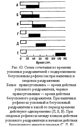 Подпись:  
Рис. 63. Схема сочетания во времени услов-ных раздражителей с подкреплением безус-ловным рефлексом при наличных и следовых раздражениях.
Белые   прямоугольника — время действия условного раздражителя, черные  прямоуголь-ники — время действия безусловного раздра-жителя. При наличных рефлексах условный и безусловный раздражители в какой-то период времени действуют одновременно (Л, Б, В). При следовых рефлексах между концом дей-ствия условного раздражителя и началом дей-ствия безусловного имеется перерыв (Г, Д, Е)

