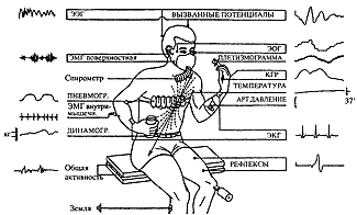 Многоканальная регистрация наиболее часто изучаемых видов биоэлектрической активности человека (по В. Блоку, 1970). рисунок