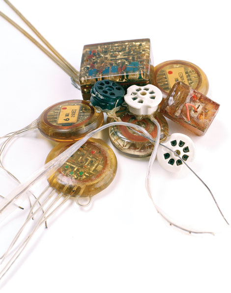 Устройства для электрической стимуляции мозга, изобретенные Хосе Дельгадо для исследования поведения и управления движениями, были имплантированы обезьянам, быкам, кошкам и людям. Вживленные электроды могли оставаться в мозге более двух лет.