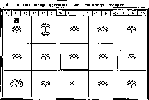Генетические вариации нейтрального дерева 