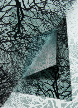 СОЗНАНИЕ И МОЗГ