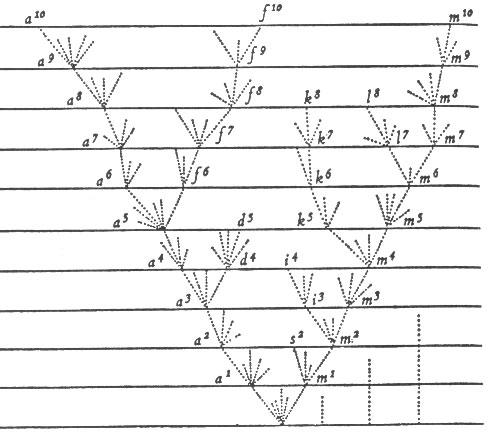 Классическая схема дивергенции по Дарвину имеет вид древа, ветви которого, раз разделившись, уже никогда более не сольются (рис. с сайта macroevolution.narod.ru)
