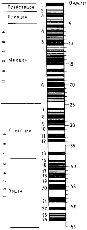 Детальная палеомагнитная шкала кайнозойской эры. Черный цвет — прямая намагниченность, белый — обратная (изображение с сайта geo.web.ru)