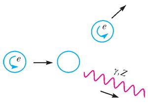 Неизменность проекции спина электрона при испускании фотона или Z-бозона