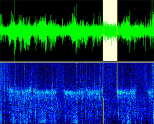 Спектрограмма сна. Белым цветом выделен участок РЕМ-сна (изображение с сайта www.neurotraces.com)