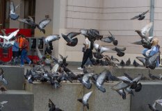 IMG_4074.jpg