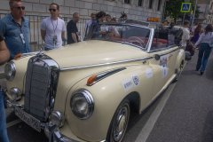 IMG_4561.jpg
