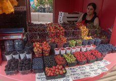 IMG_4575.jpg