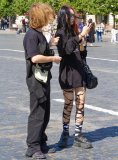 IMG_4252.jpg