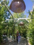 IMG_4634.jpg