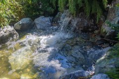 IMG_4646.jpg
