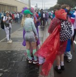 IMG_4899.jpg