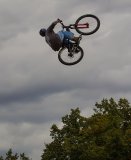 IMG_4401.jpg