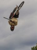 IMG_4406.jpg