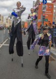 IMG_5233.jpg