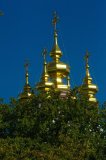 IMG_4828.jpg