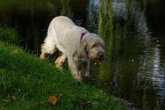 IMG_4834.jpg