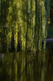 IMG_4835.jpg