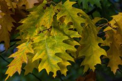 IMG_4837.jpg
