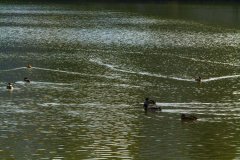 IMG_4851.jpg