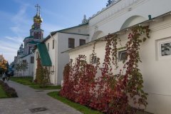 IMG_5343.jpg