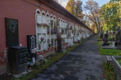 IMG_5412.jpg