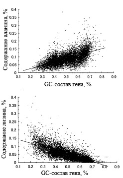 Связь типа аминокислоты с GC-составом генов.