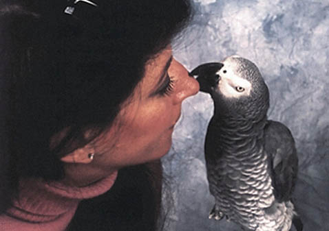 Ирэн Пепперберг и Алекса связывают давние и тесные отношения (фото с сайта avianadventures.com).
